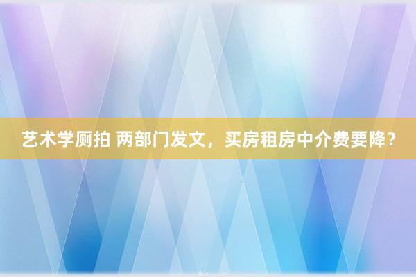 艺术学厕拍 两部门发文，买房租房中介费要降？