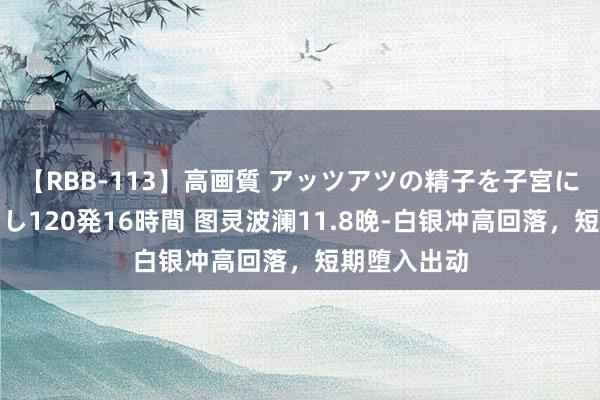 【RBB-113】高画質 アッツアツの精子を子宮に孕ませ中出し120発16時間 图灵波澜11.8晚-白银冲高回落，短期堕入出动