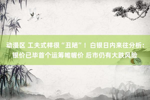 动漫区 工夫式样很“丑陋”！白银日内来往分析：银价已毕首个运筹帷幄价 后市仍有大跌风险