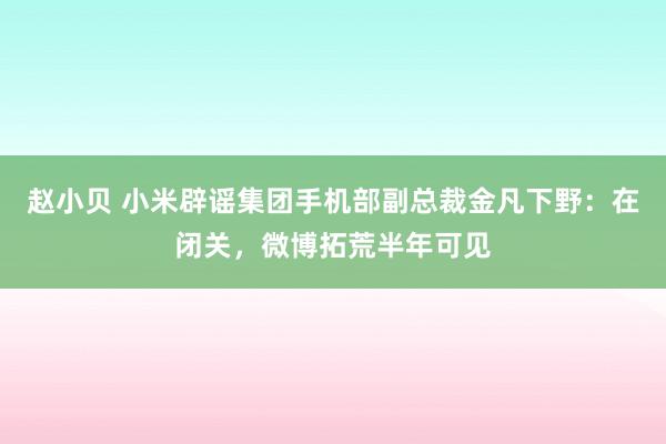 赵小贝 小米辟谣集团手机部副总裁金凡下野：在闭关，微博拓荒半年可见