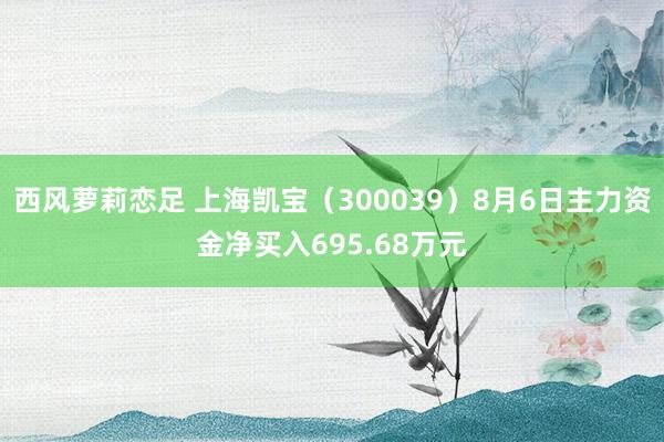 西风萝莉恋足 上海凯宝（300039）8月6日主力资金净买入695.68万元