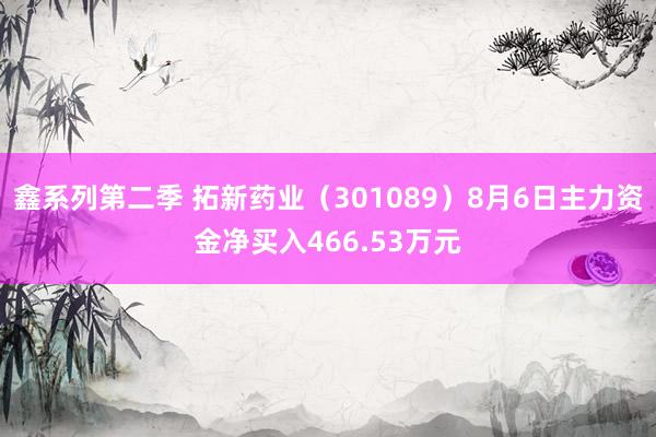 鑫系列第二季 拓新药业（301089）8月6日主力资金净买入466.53万元