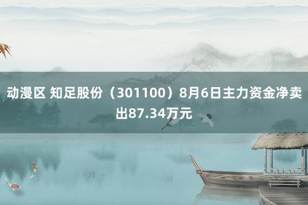 动漫区 知足股份（301100）8月6日主力资金净卖出87.34万元