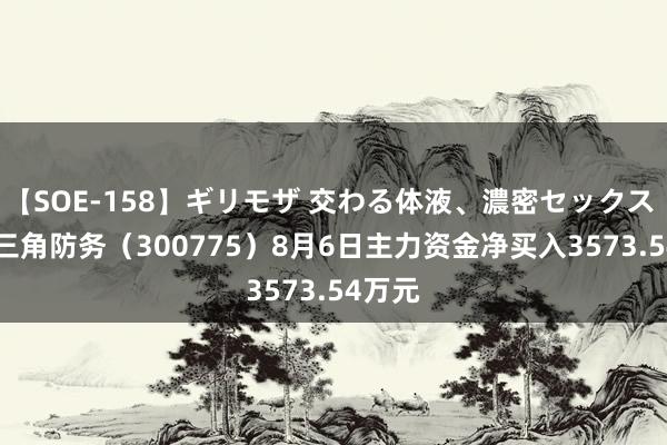 【SOE-158】ギリモザ 交わる体液、濃密セックス Ami 三角防务（300775）8月6日主力资金净买入3573.54万元