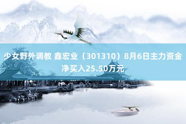 少女野外调教 鑫宏业（301310）8月6日主力资金净买入25.50万元