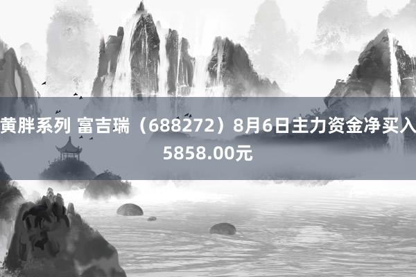 黄胖系列 富吉瑞（688272）8月6日主力资金净买入5858.00元