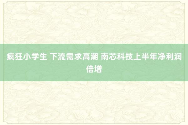 疯狂小学生 下流需求高潮 南芯科技上半年净利润倍增