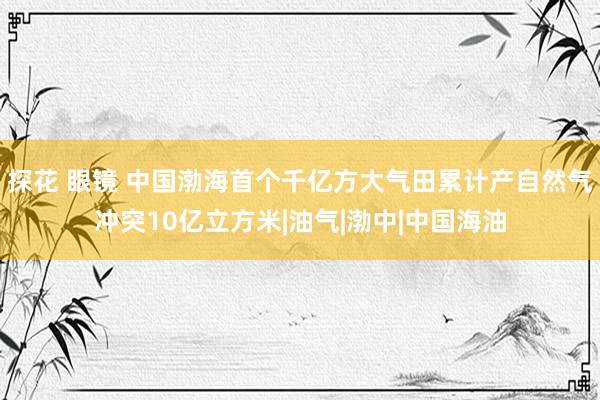 探花 眼镜 中国渤海首个千亿方大气田累计产自然气冲突10亿立方米|油气|渤中|中国海油