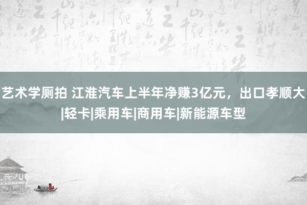 艺术学厕拍 江淮汽车上半年净赚3亿元，出口孝顺大|轻卡|乘用车|商用车|新能源车型