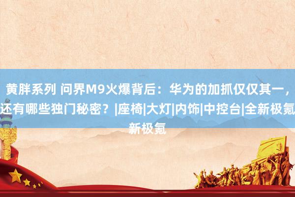 黄胖系列 问界M9火爆背后：华为的加抓仅仅其一，还有哪些独门秘密？|座椅|大灯|内饰|中控台|全新极氪