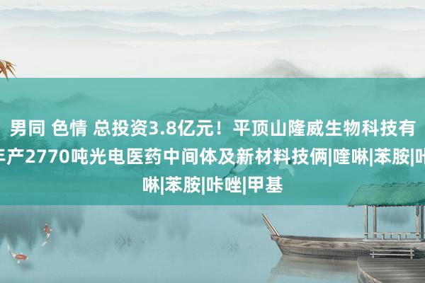 男同 色情 总投资3.8亿元！平顶山隆威生物科技有限公司年产2770吨光电医药中间体及新材料技俩|喹啉|苯胺|咔唑|甲基