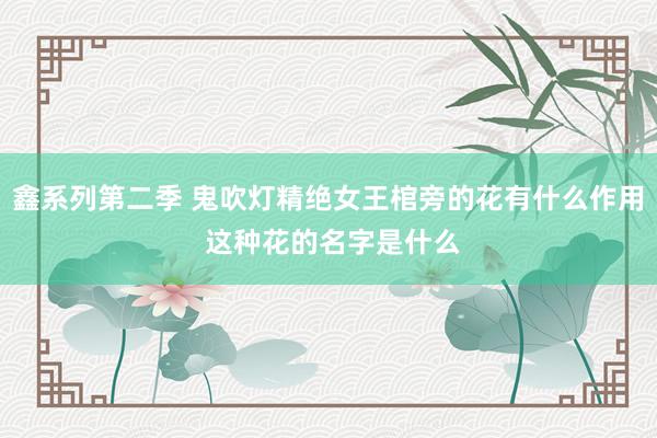 鑫系列第二季 鬼吹灯精绝女王棺旁的花有什么作用 这种花的名字是什么