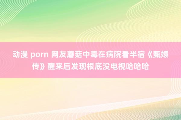 动漫 porn 网友蘑菇中毒在病院看半宿《甄嬛传》醒来后发现根底没电视哈哈哈