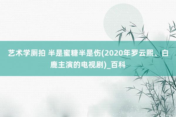 艺术学厕拍 半是蜜糖半是伤(2020年罗云熙、白鹿主演的电视剧)_百科