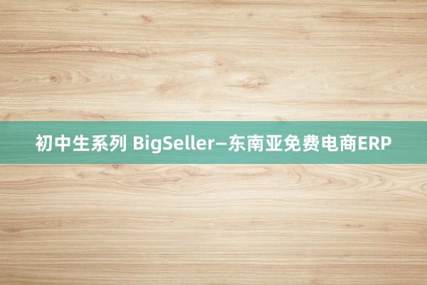 初中生系列 BigSeller—东南亚免费电商ERP