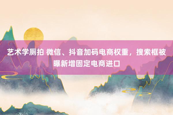 艺术学厕拍 微信、抖音加码电商权重，搜索框被曝新增固定电商进口